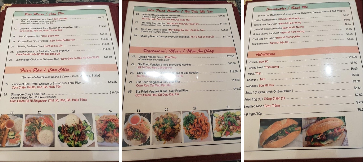 Saigon Noodles